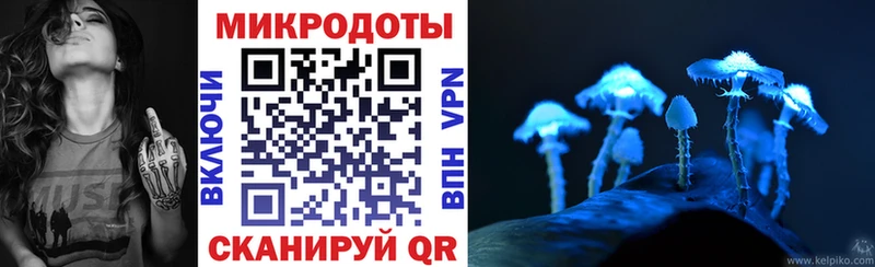 купить   Верхотурье  Галлюциногенные грибы Psilocybe 